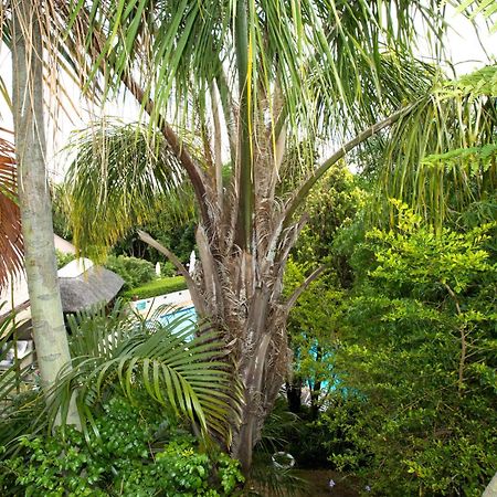 فندق Hazelwood House ستيلينبوش المظهر الخارجي الصورة
