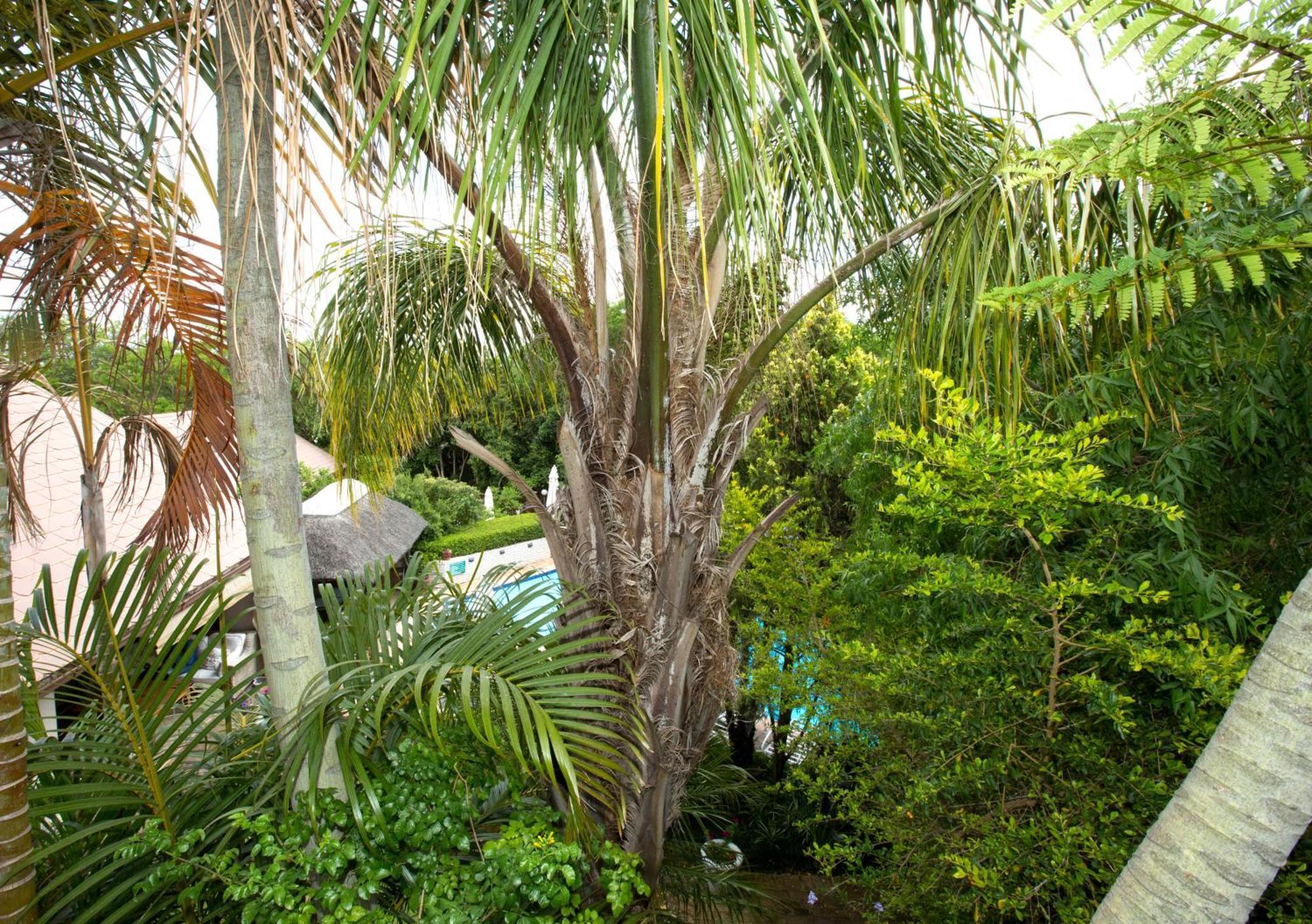 فندق Hazelwood House ستيلينبوش المظهر الخارجي الصورة